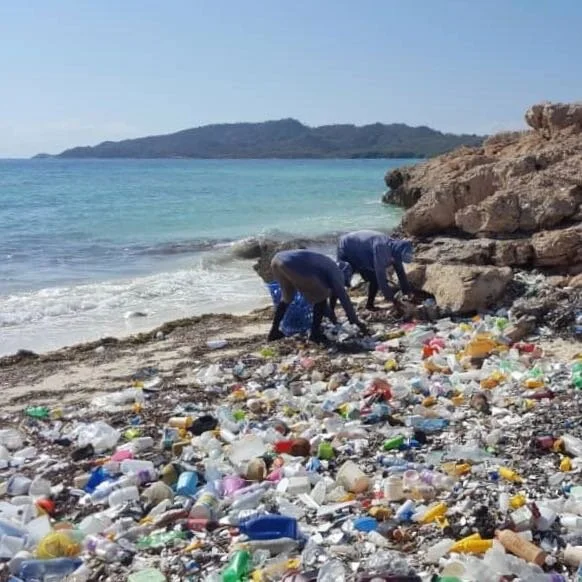 Over 50,000 pounds of trash cleaned from ocean in Haiti
