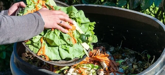 Vermont just banned food waste in trash