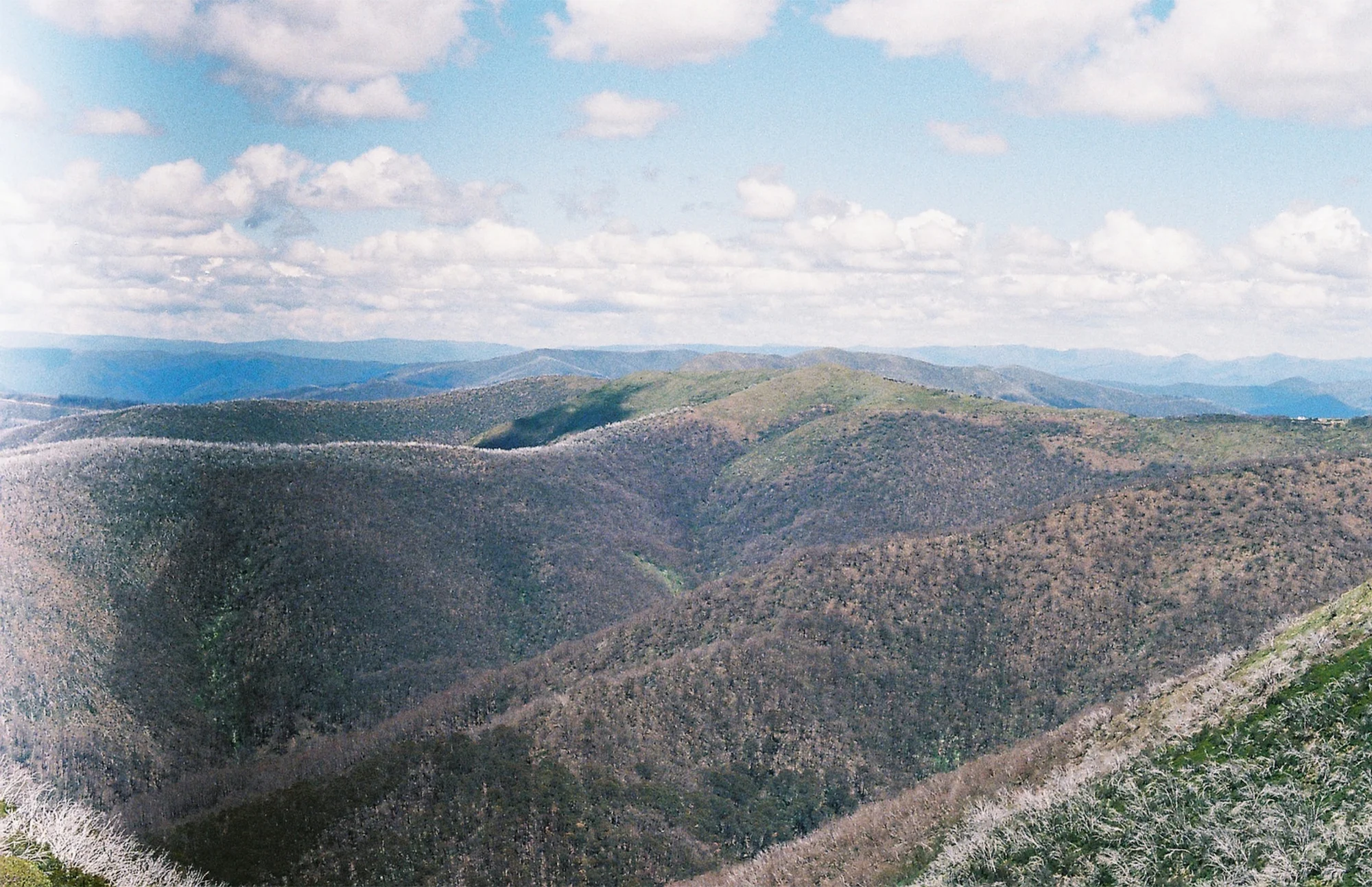 Hotham-Hill.jpg