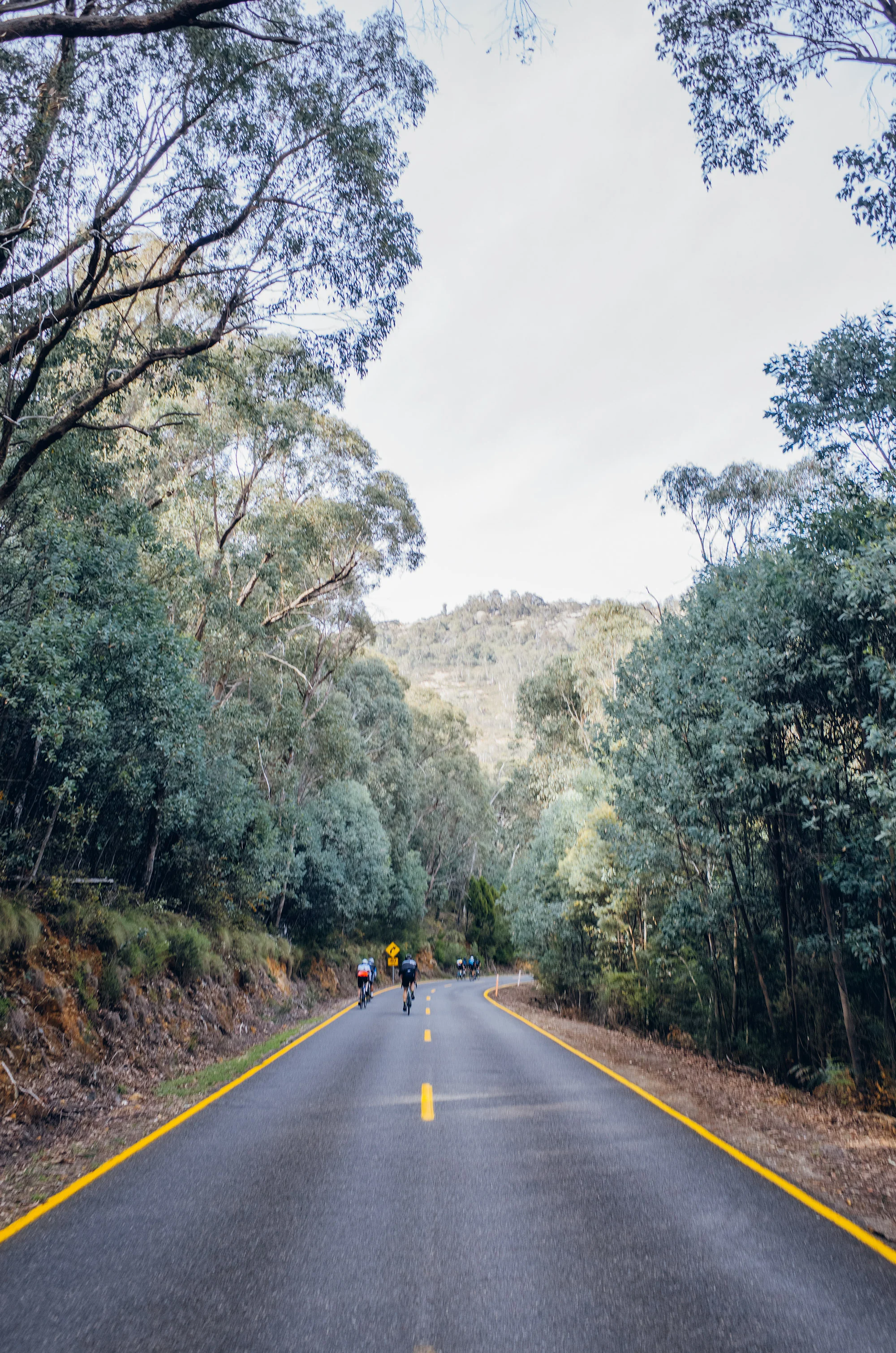 RHC 7 Peaks Soup Boys - Mt Buffalo - Adrian Zanardo - 04 - web.jpg