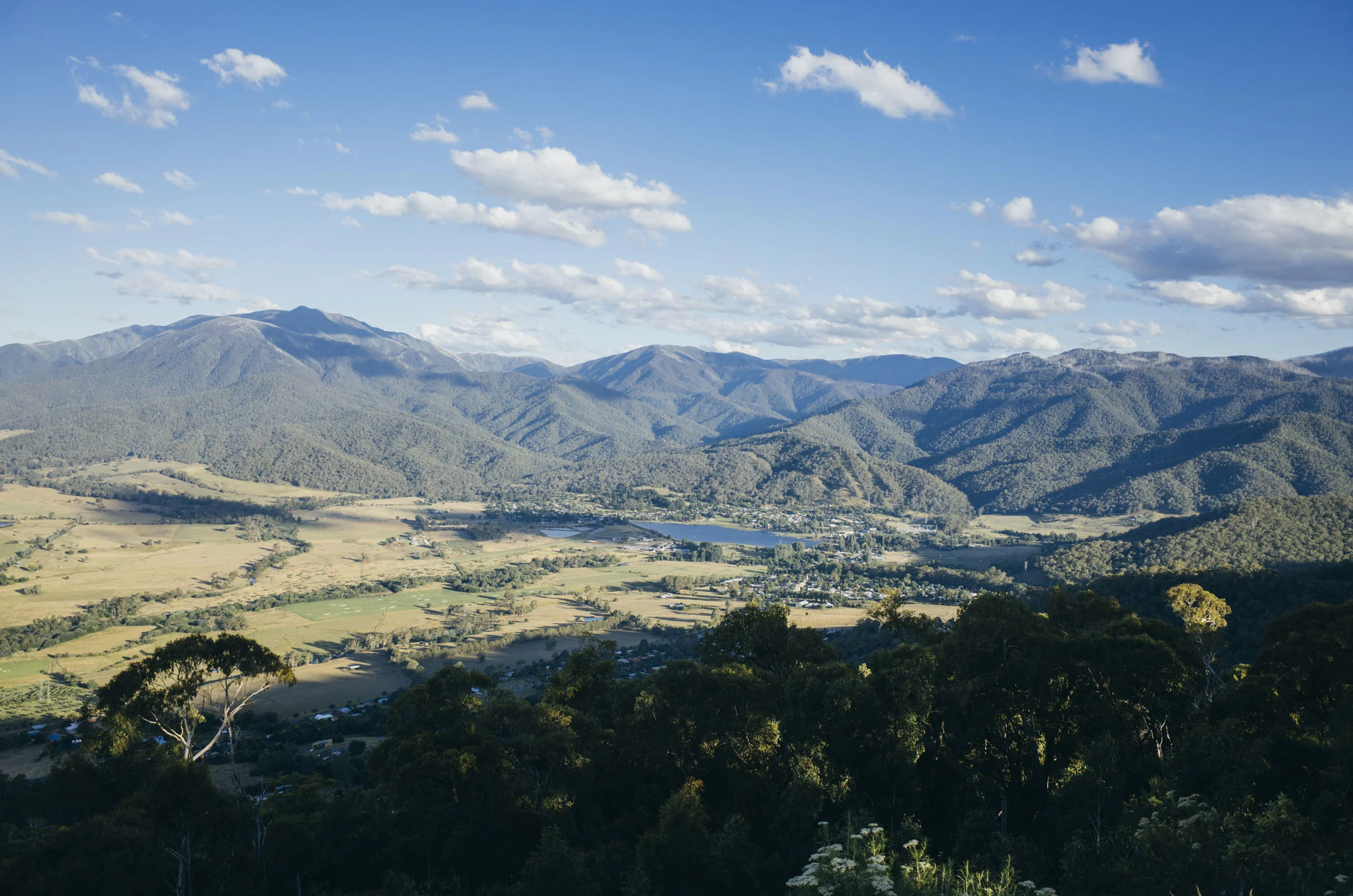 T4960x3280-08159-web.jpg
