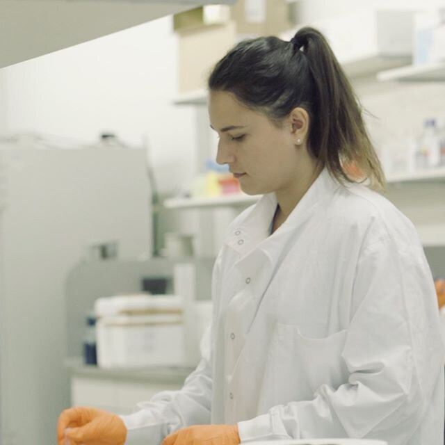 UCL CANCER MSC - A student working in the lab at the University College London - The UCL Cancer institute brings together over 400 scientists all attempting to translate research discoveries into developing kinder and effective therapies for cancer p