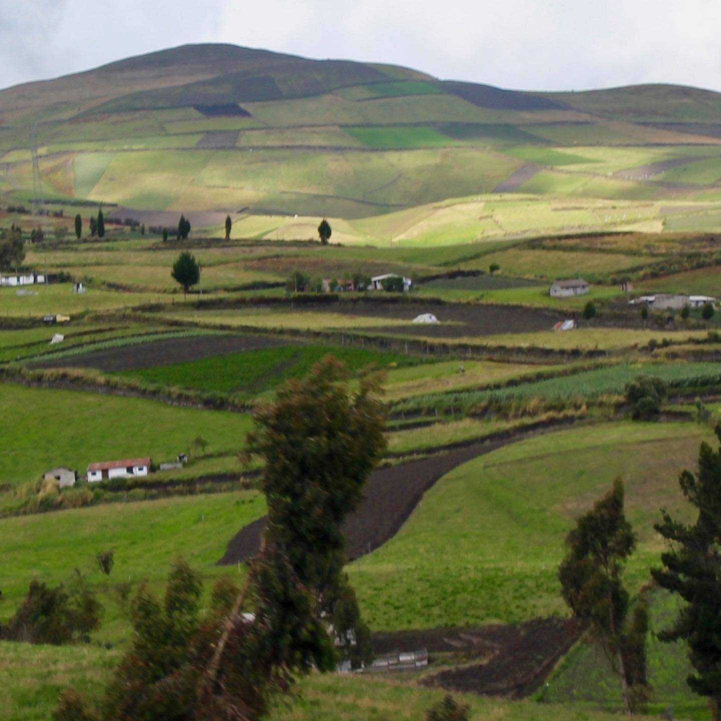 Can you guess where this picture was taken?
.
.
.
.
.
.
Switzerland?
.
.
.
.
.
Uh uh&hellip;
.
.
.
.
.
Yeap! It was taken at the Paramo Andino // Andean Moorland, definitely worth visiting it!

#p&aacute;ramo #andes #andesmountains #ecuador #sierra #