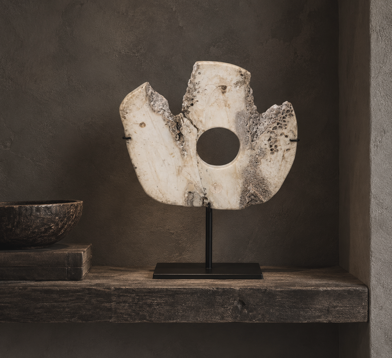 FOSSIL SHELL ON STAND / 2