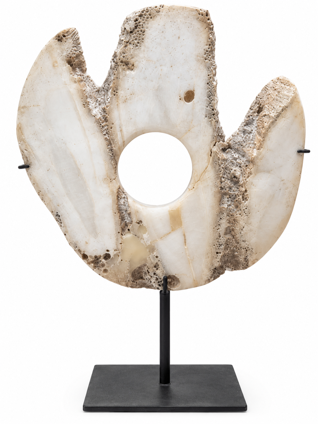 shell , decorative shell , onyx shell