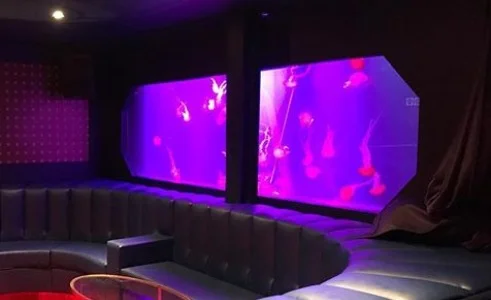 large jellyfish tank