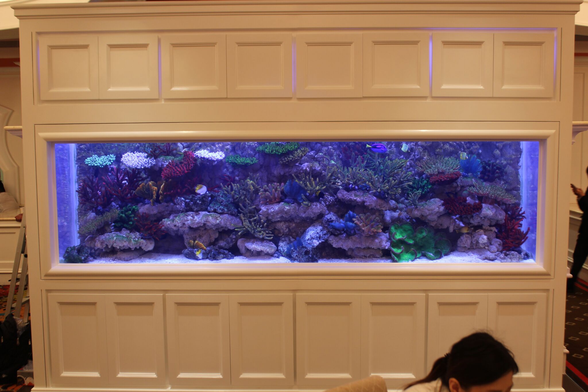 custom aquarium