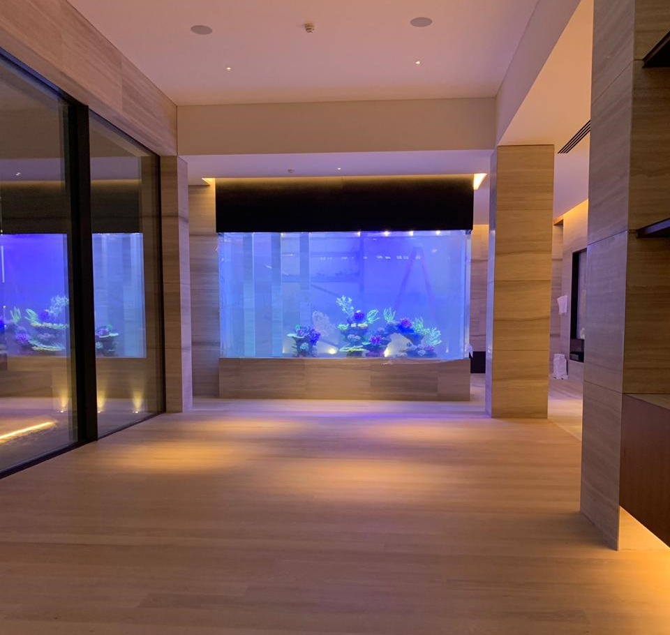 Residential Aquariums Redfin Aquarium Design