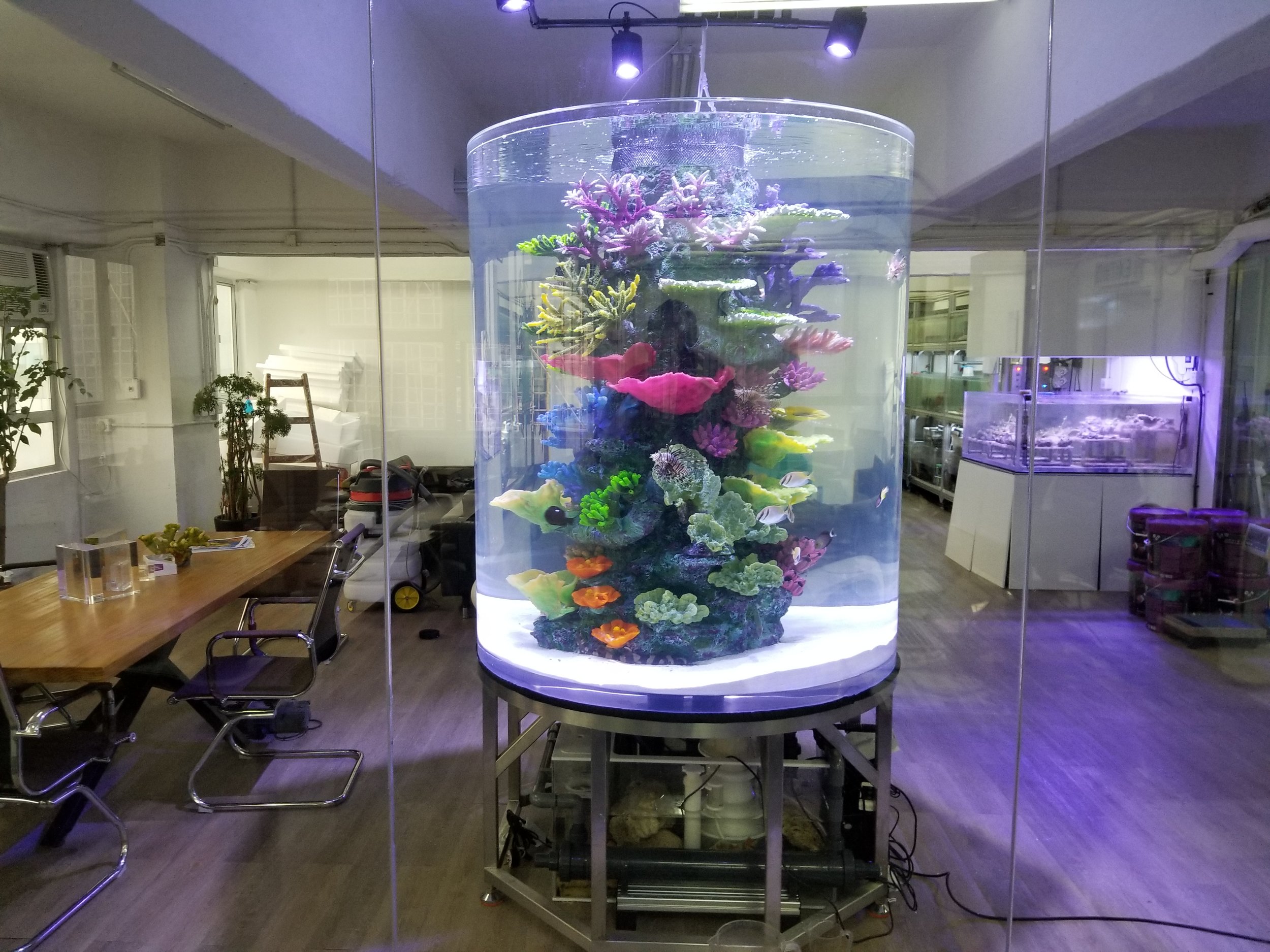 21+ Office Table Aquarium Design