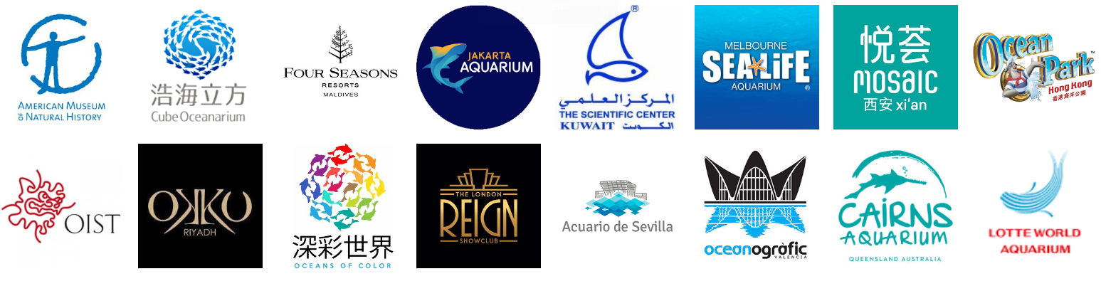 93 Koleksi Aquarium Design Group Shop Gratis Terbaru
