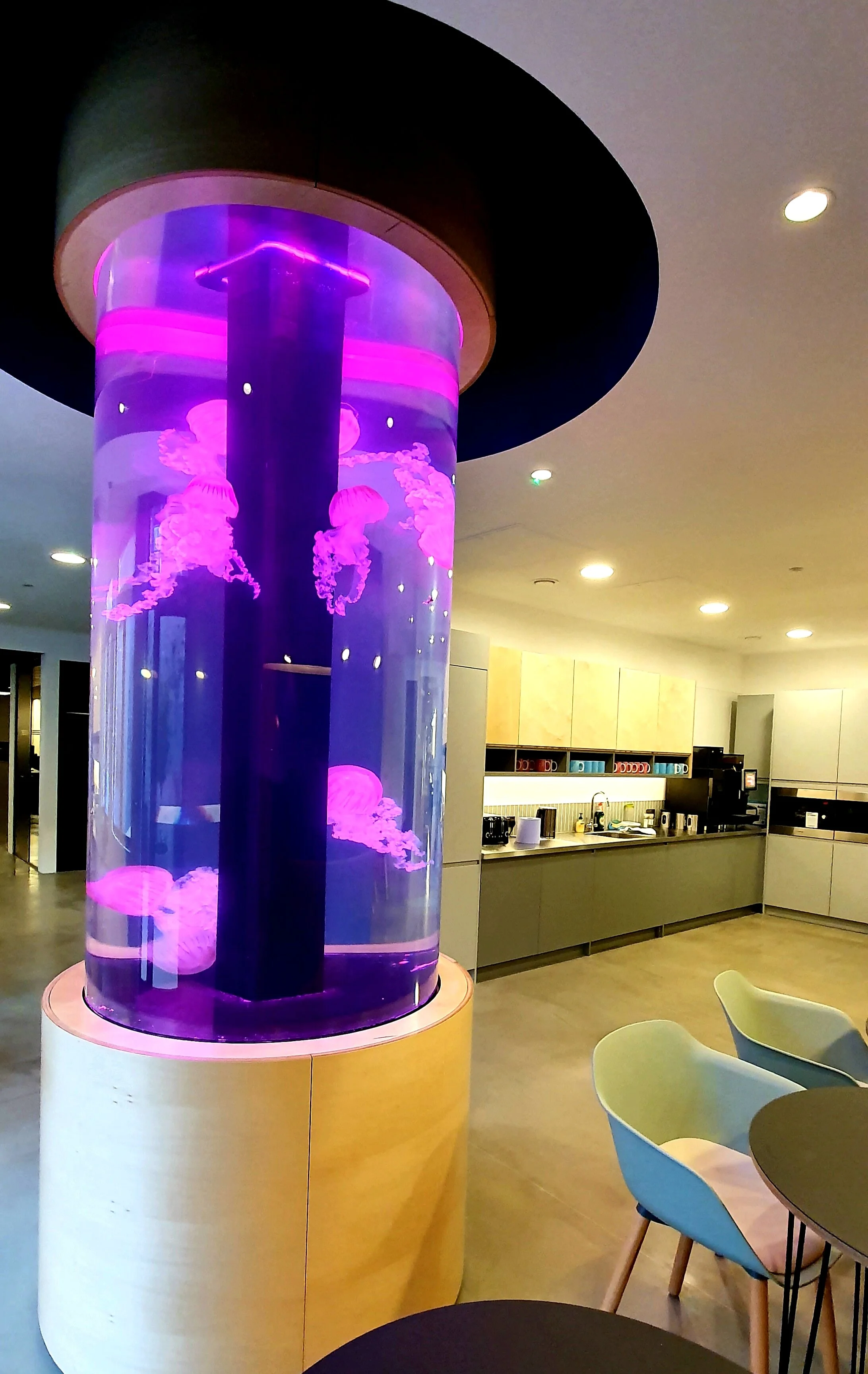 Cylinder Aquariums — RedFin Aquarium Design