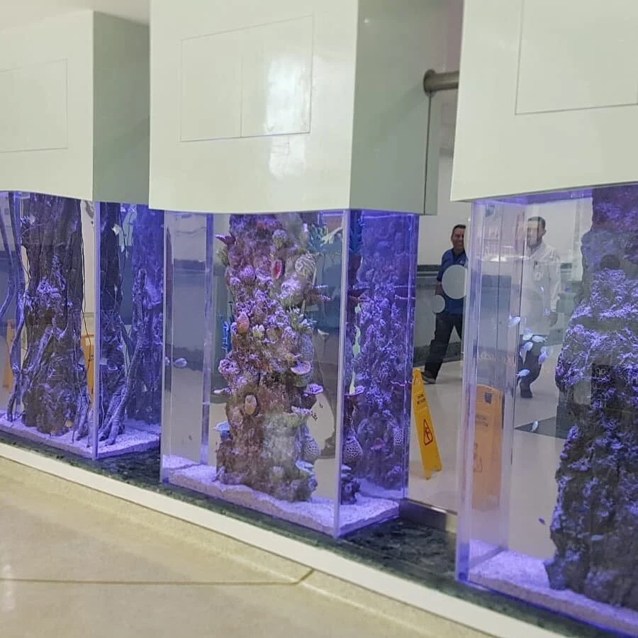 RedFin Aquarium Design