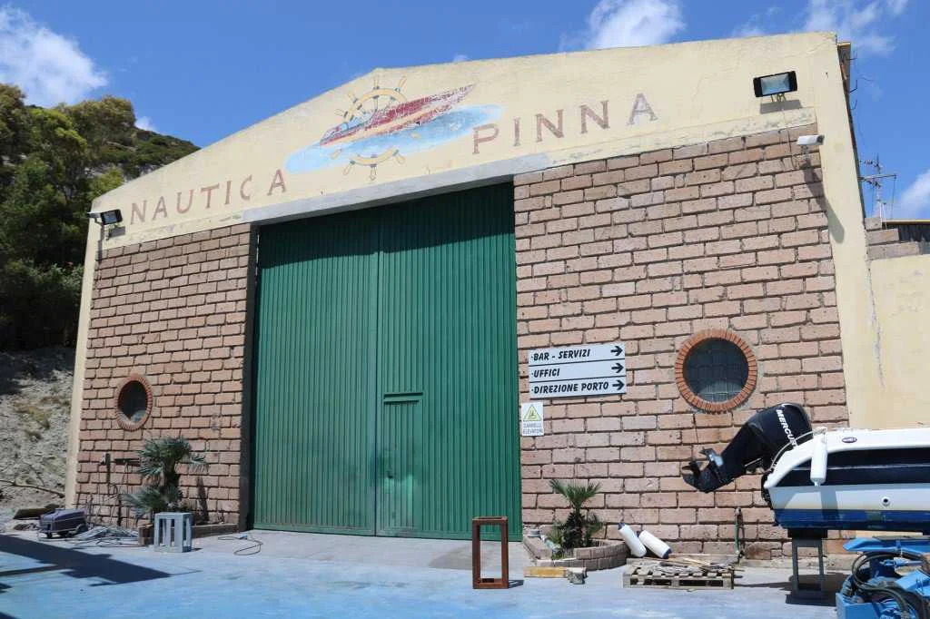 PINNA.jpg