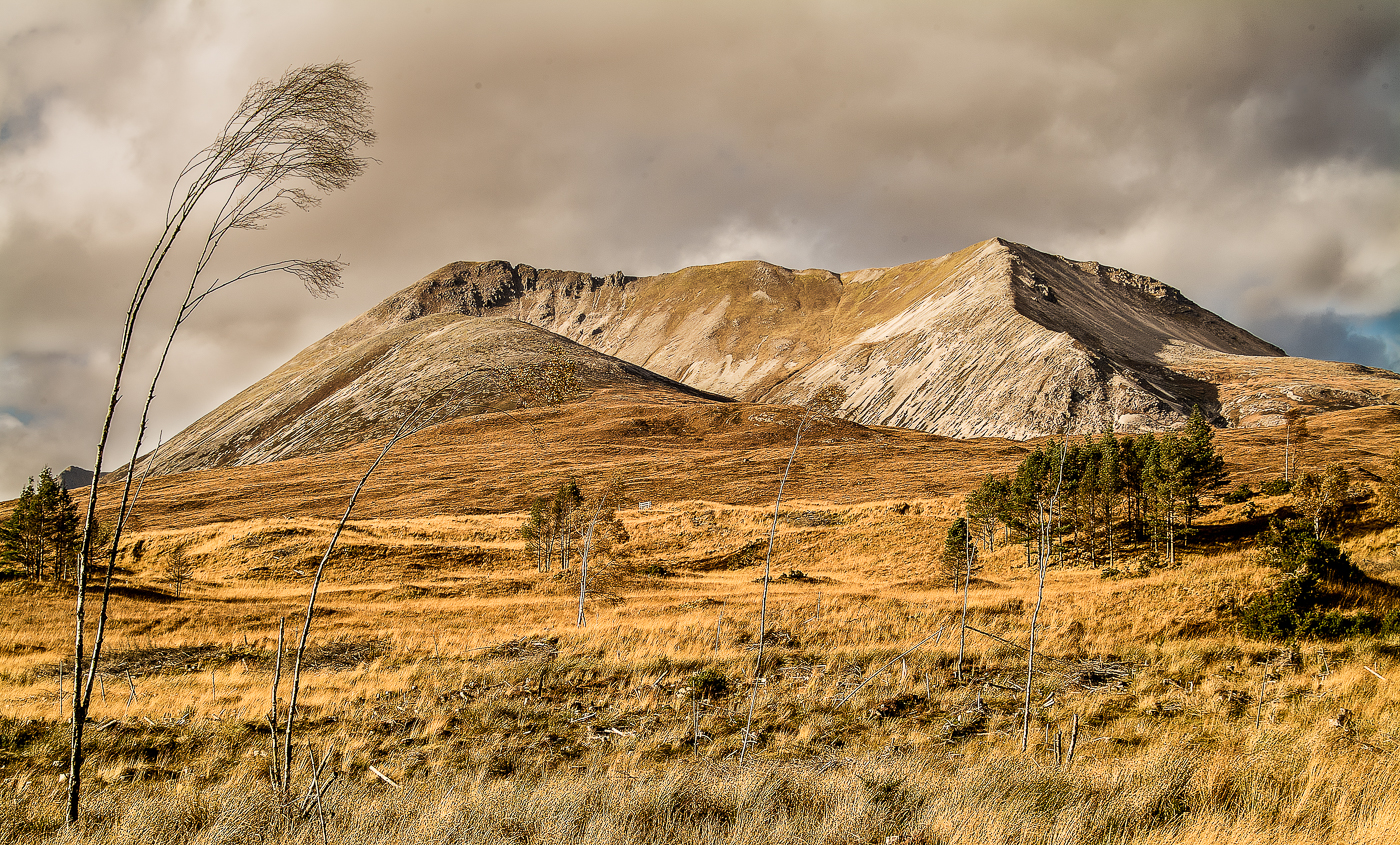 Ben Eighe by Dennis Durack