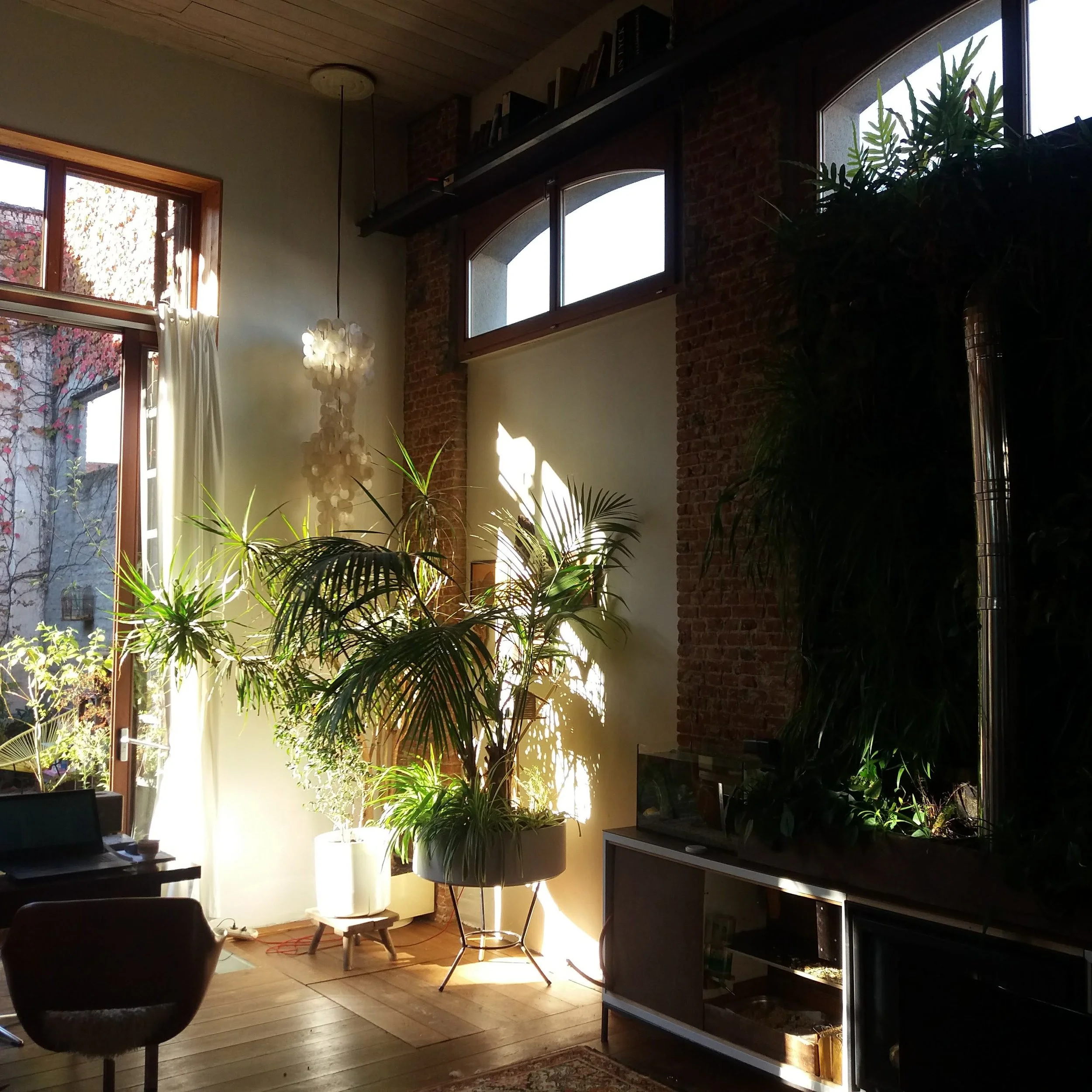 20180918_095032.jpg