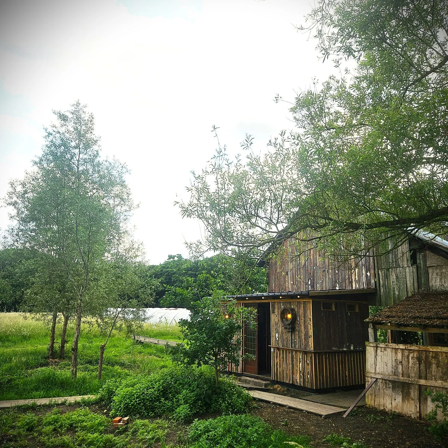 WhatsApp Image 2025-06-06 at 4.22.42 PM (3).jpeg