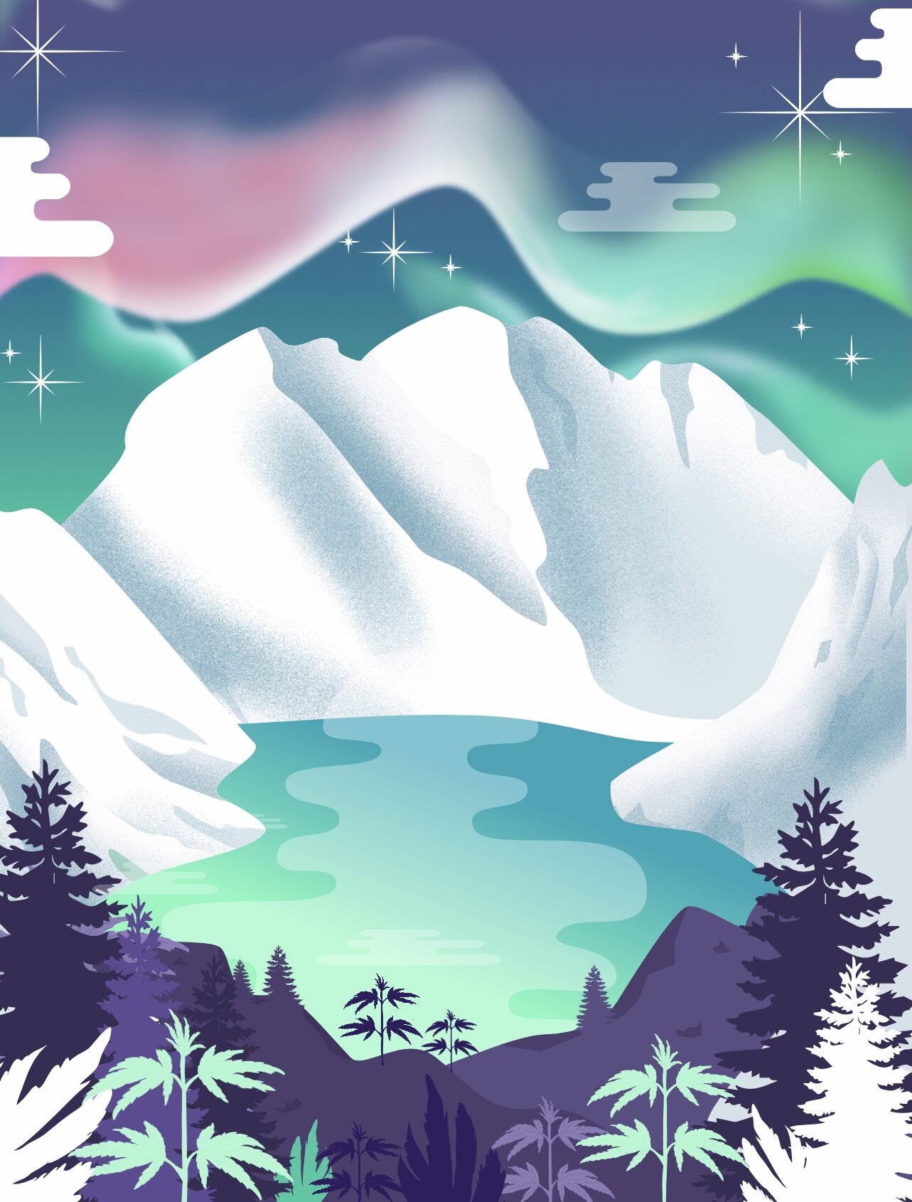 Milli jane northern lights above snowy mountains with plants in front