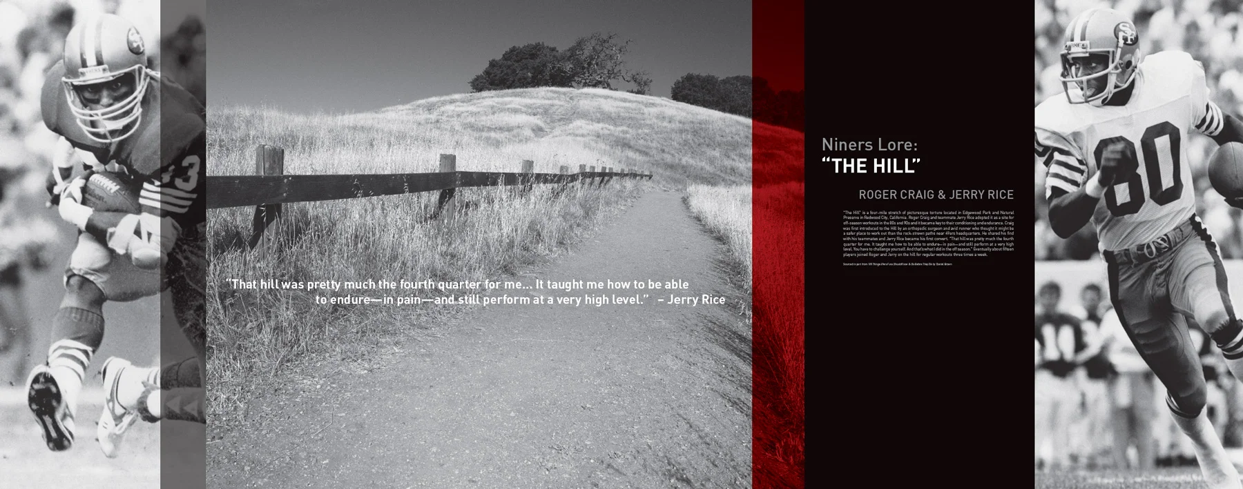 The Hill - 49ers Stadium Graphics - Levi Stadium