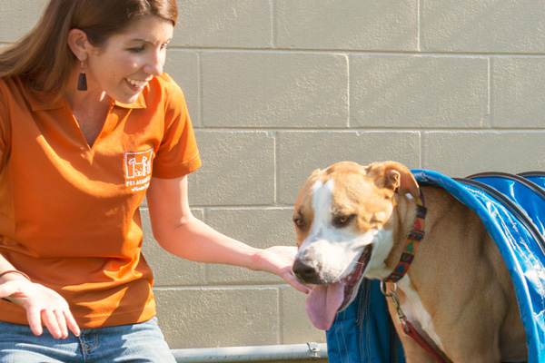 Pet Alliance of Greater Orlando Volunteer with dog