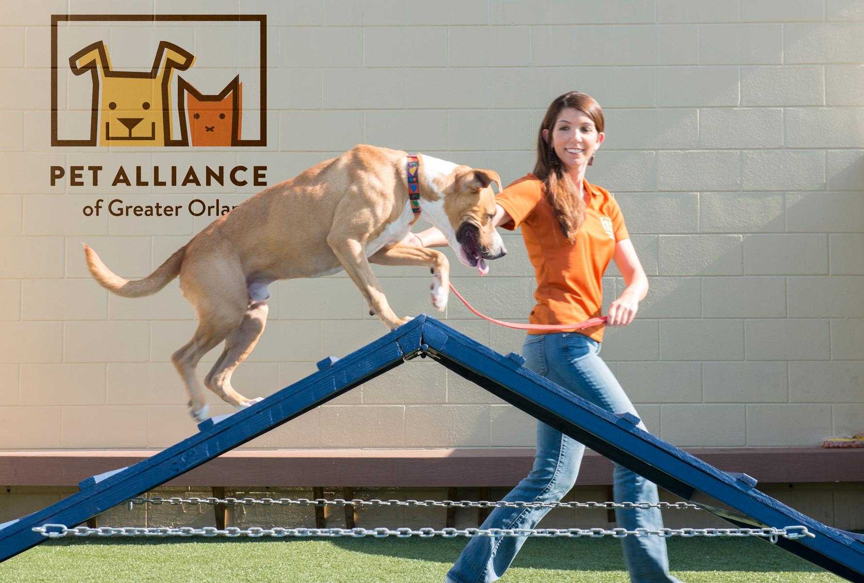 Pet Alliance of Greater Orlando Volunteer walks dog