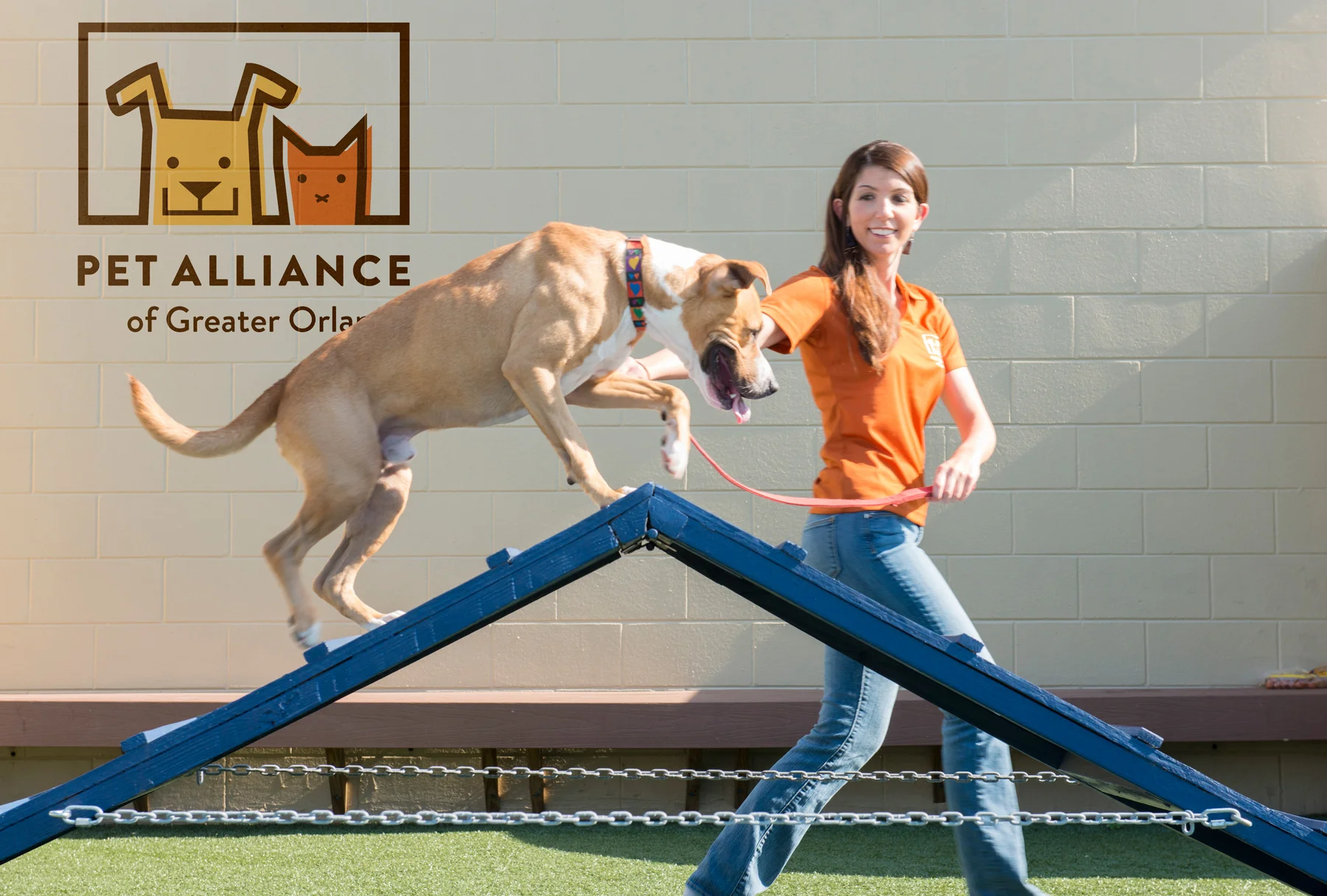 Pet Alliance of Greater Orlando volunteer walks dog