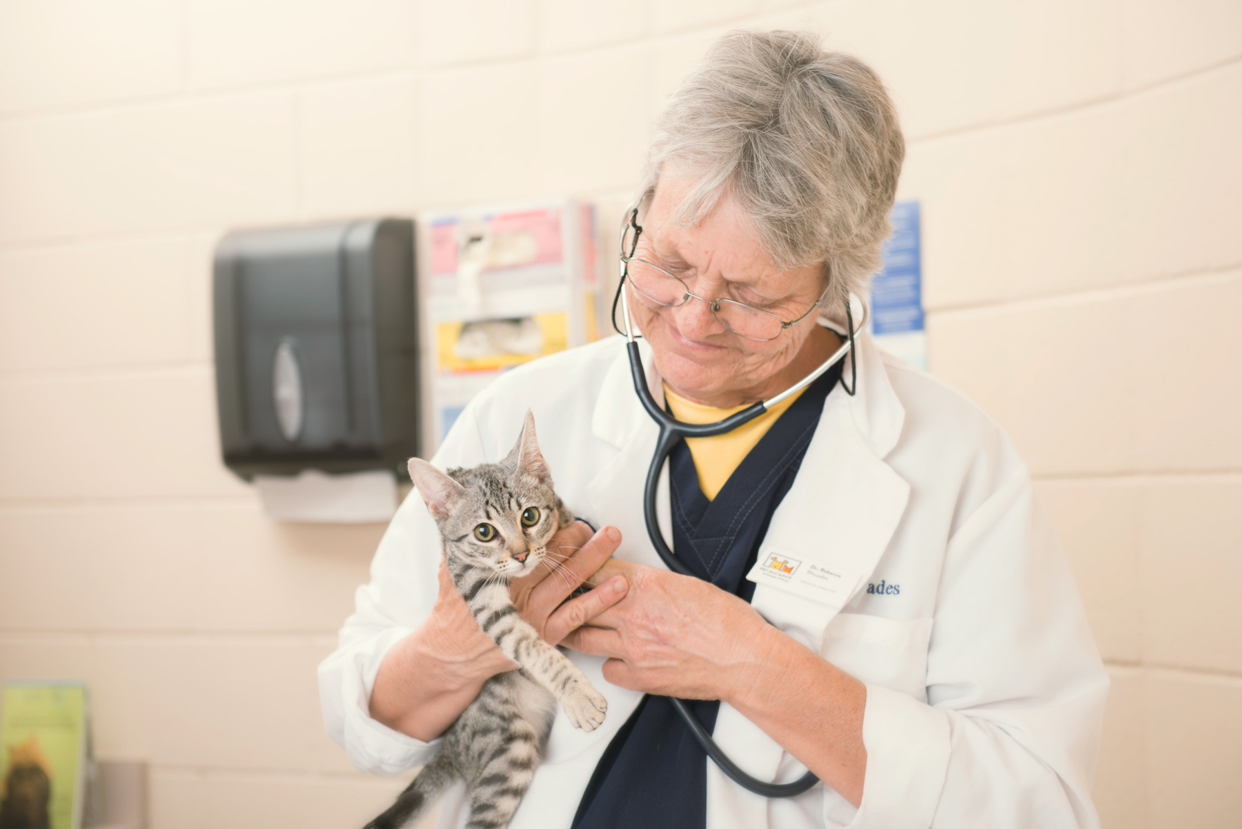 Pet Alliance of Greater Orlando vet with cat