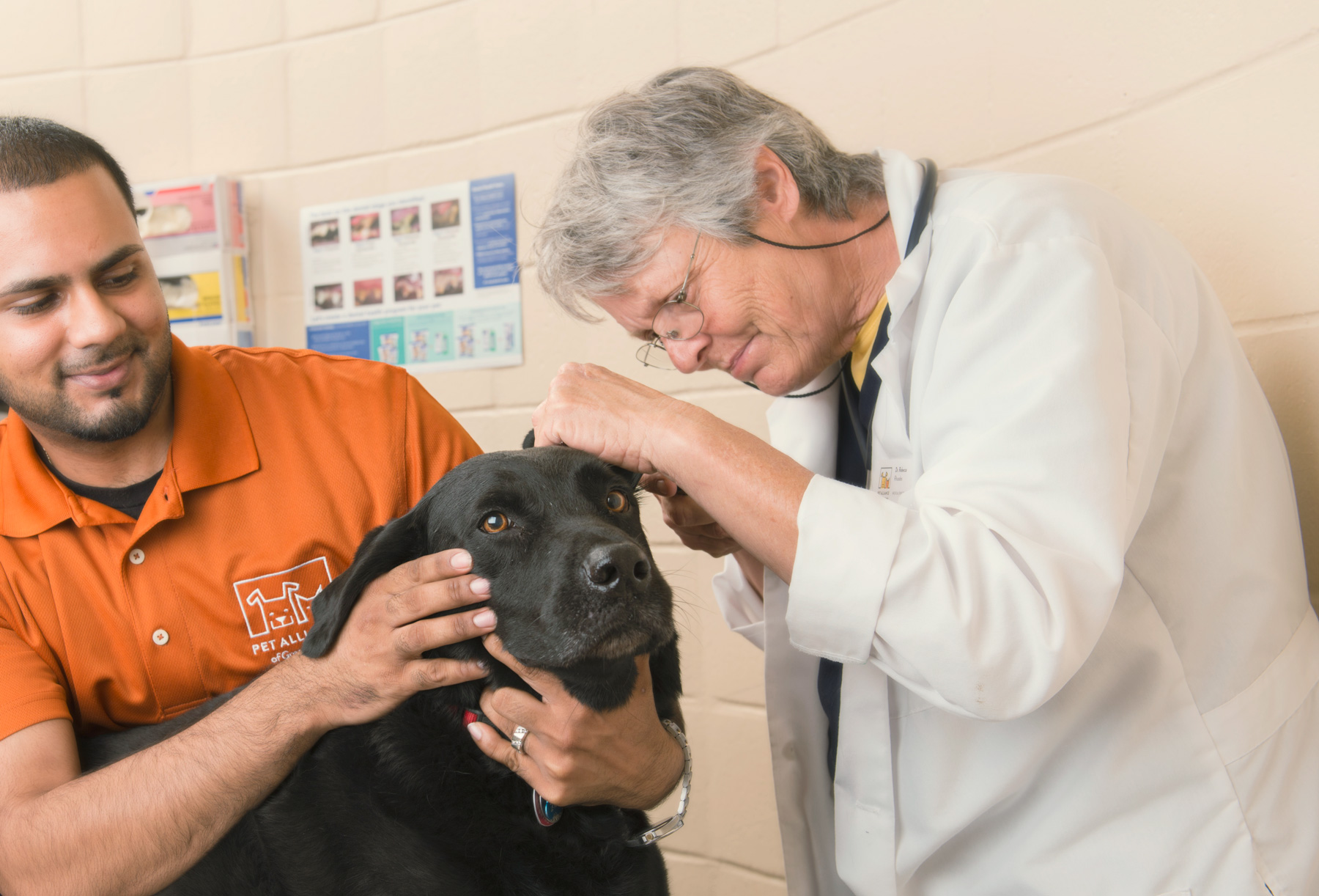 Pet Alliance of Greater Orlando vet and volunteer with dog