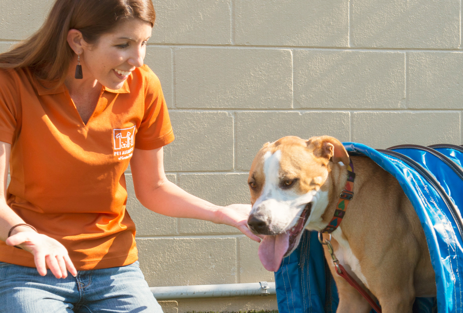 Pet Alliance of Greater Orlando volunteer with dog