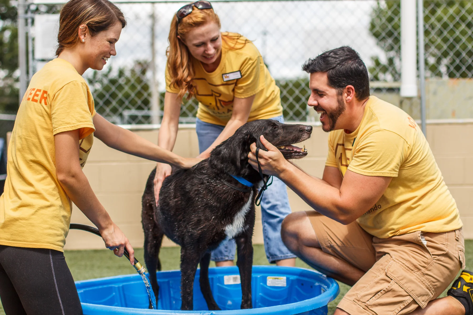 Pet Alliance of Greater Orlando volunteers with dog