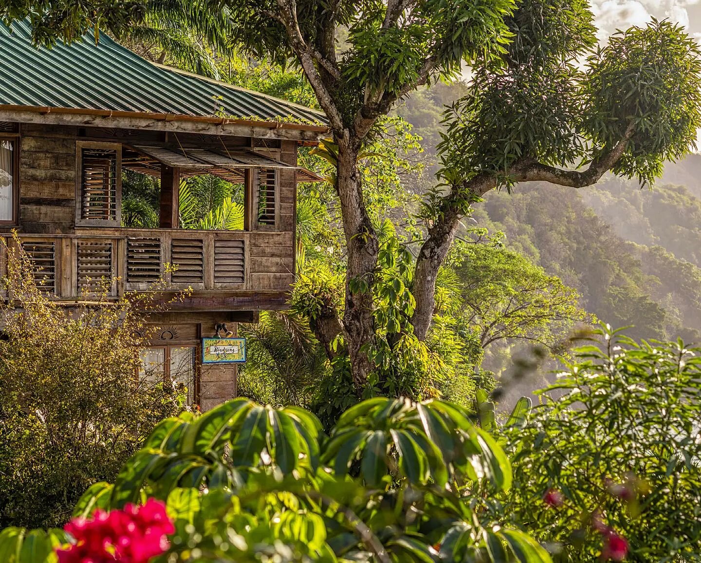 Tumbling down lush hillside on Tobago's sleepy west coast, above a half-moon sandy bay, lies the charming @castararetreats....No five star bling here but a quieter type of luxury, defined by nature, tranquility &amp; an authentic taste of Tobago. 

H
