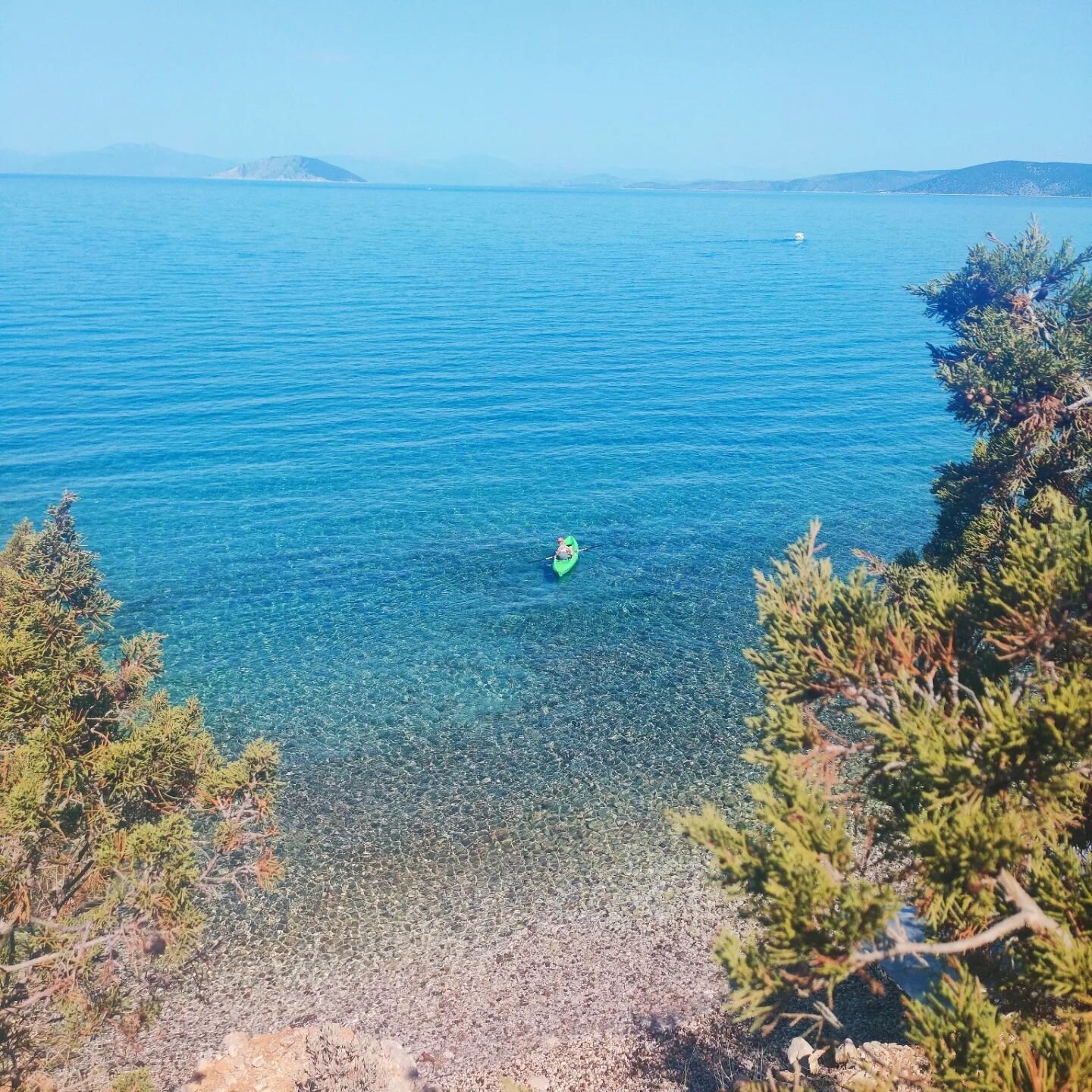 Seduced by the natural palette of the Peloponnese 🇬🇷🐙🎨