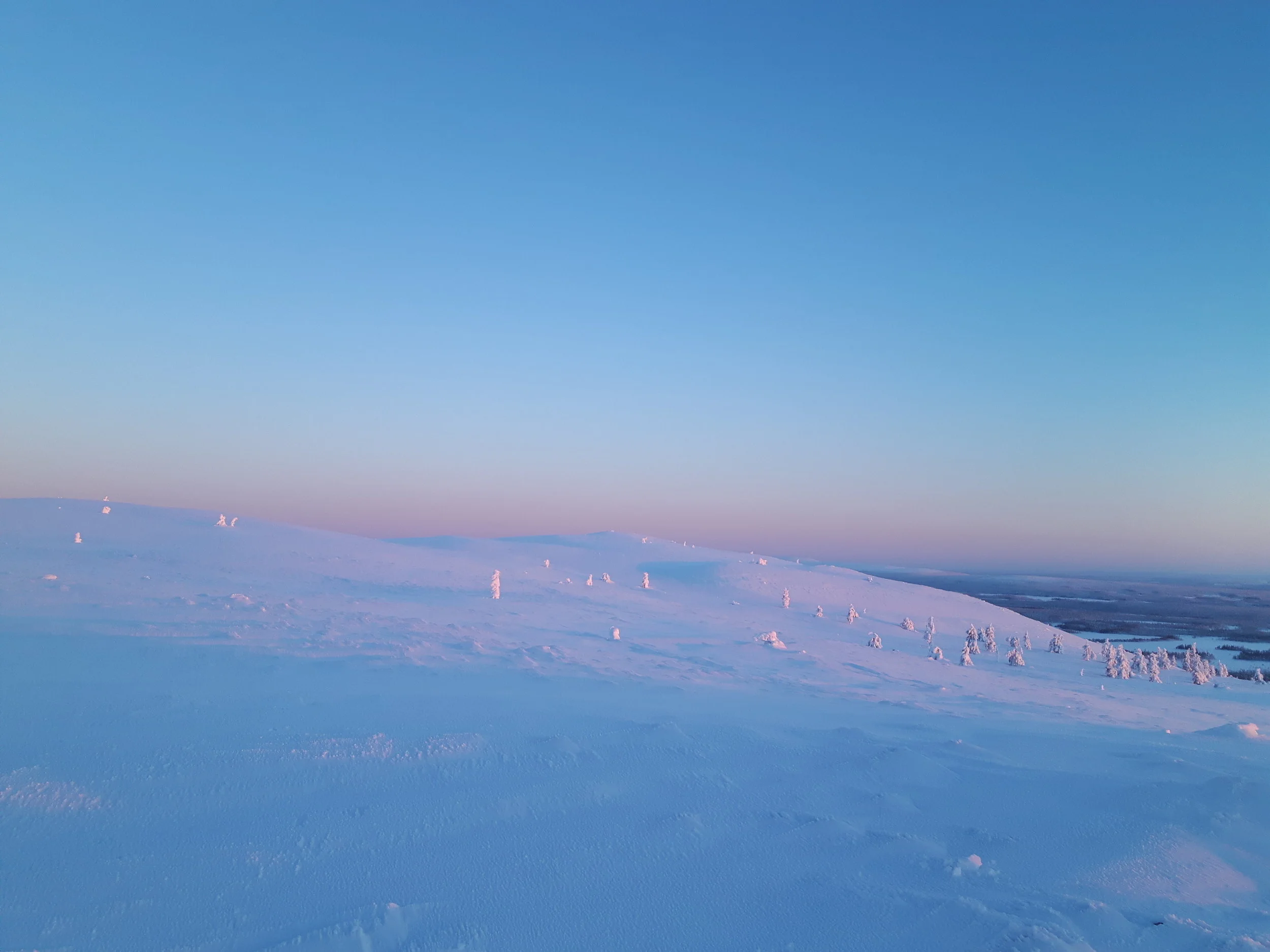 20161203_114817.jpg