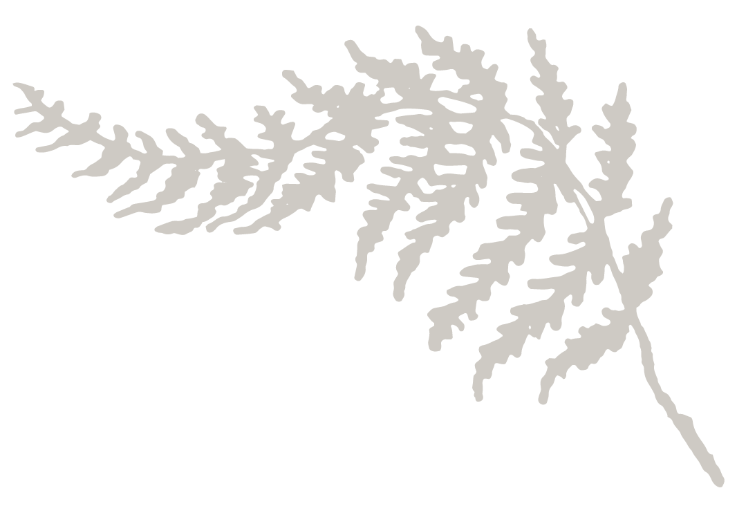 ArielLynn_Fern2_Bone.png