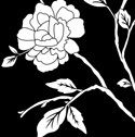 Briar Roses