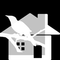 Real Estate for Birds + 60 Guilder Land Co