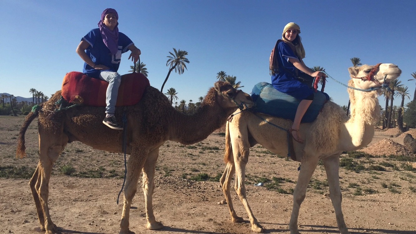 Riding Camels beyond the Medina