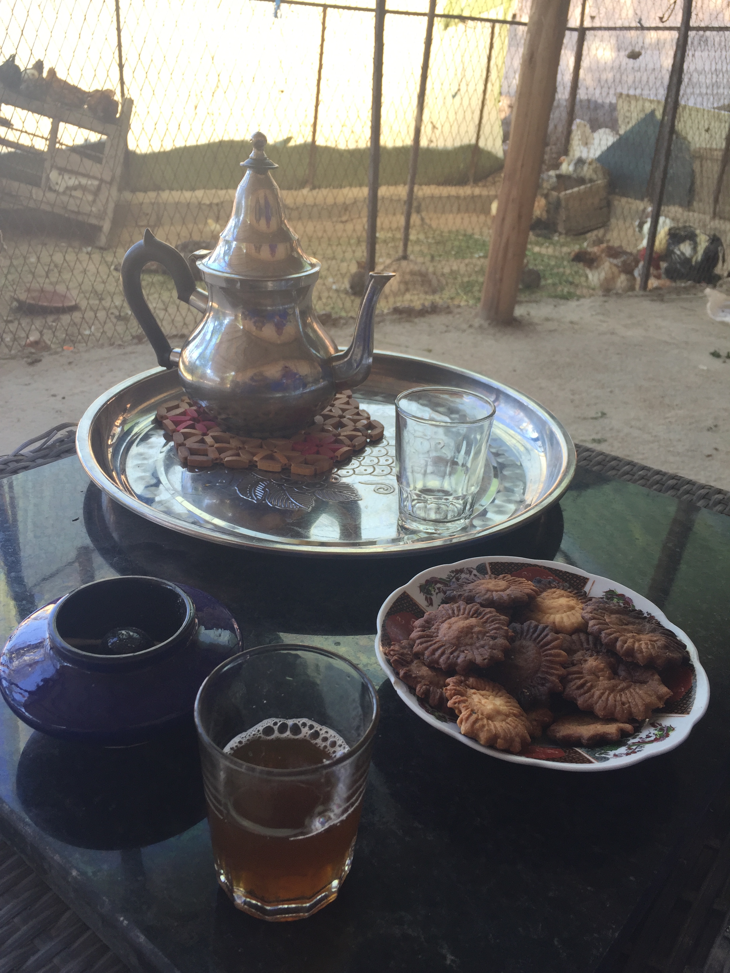 Mint tea at a berber's home! and cookies!