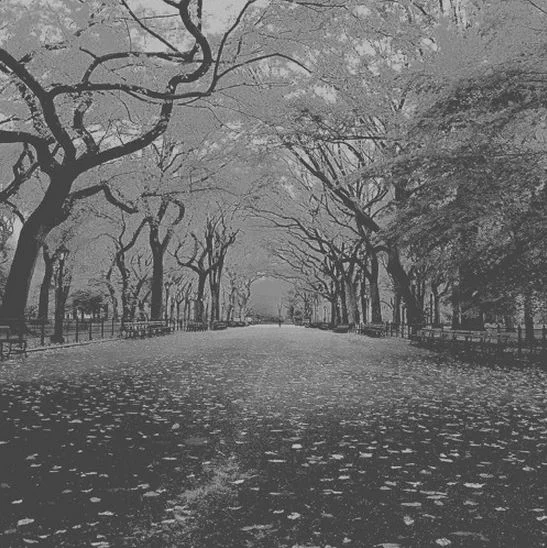 Listen to Art For The Falltime (Freestyle) by Gray Wilks. 