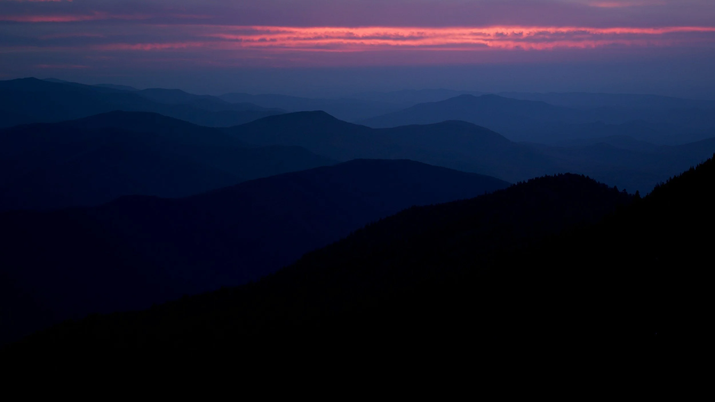 unsplash-image-bACBP1Bzf_0.jpg