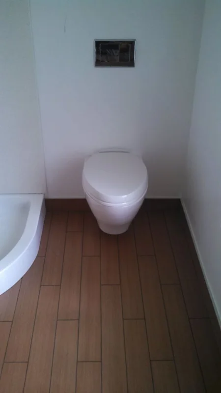 Toto wall hung toilet.jpg
