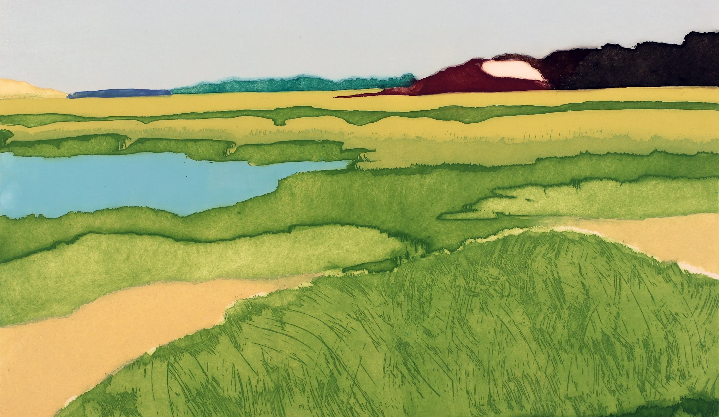 Marshview etching aquatint 18x24.jpg