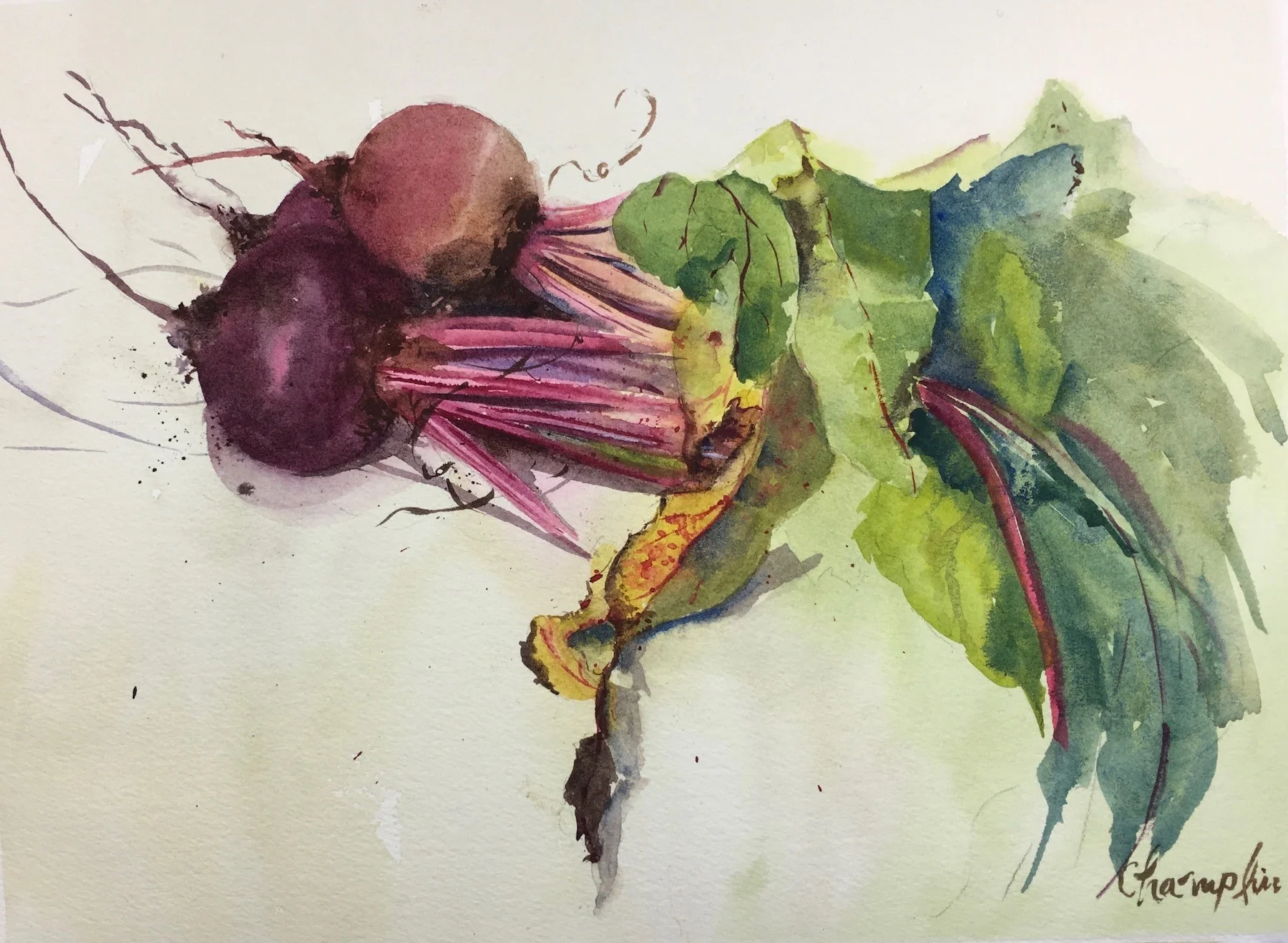 beetstudy.jpg