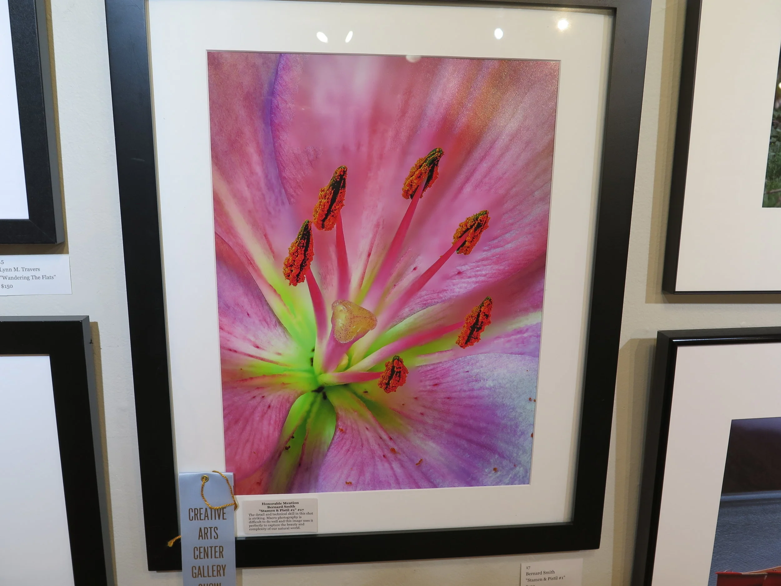 Honorable Mention Bernard Smith "Stamen &amp; Pistil #1"