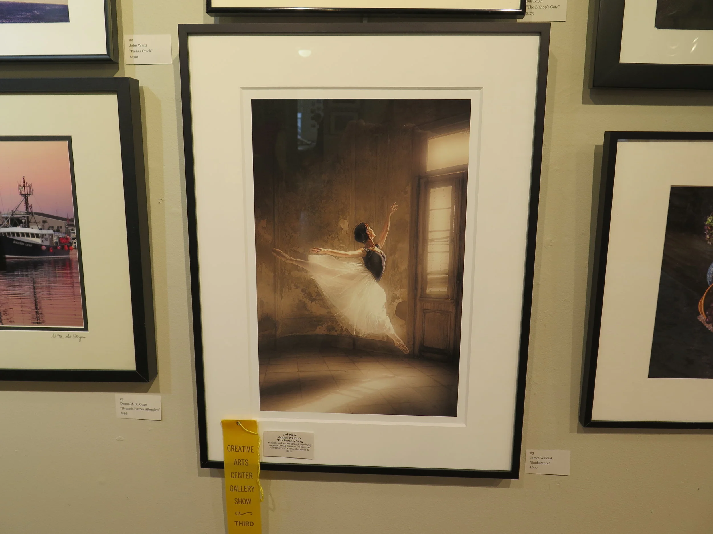 3rd Place  James Walczak  "Exuberance"