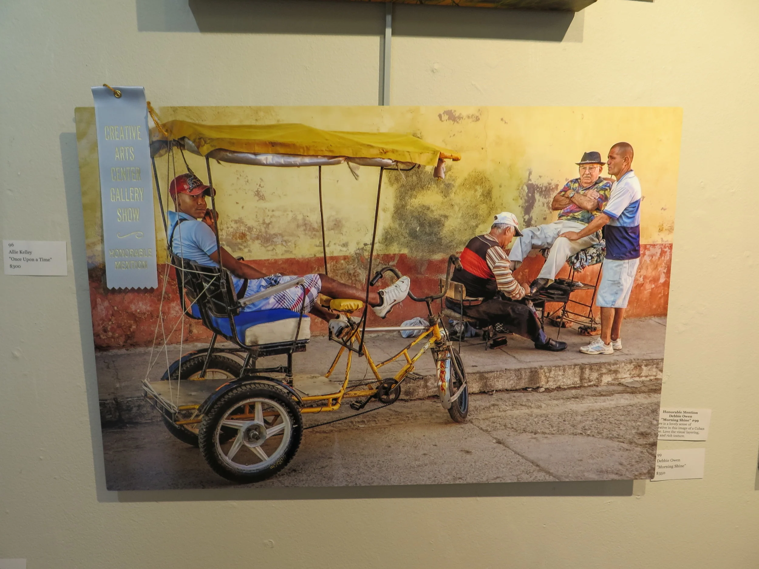 Honorable Mention Debbie Owen "Morning Shine" 