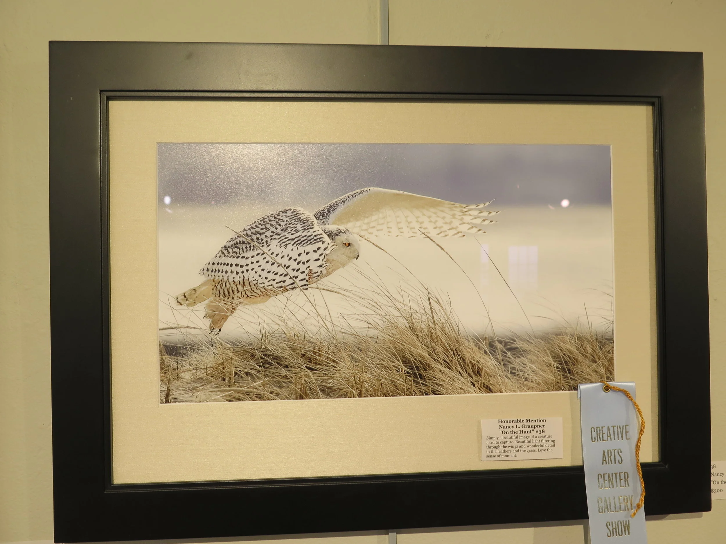 Honorable Mention Nancy L. Graupner "On the Hunt"