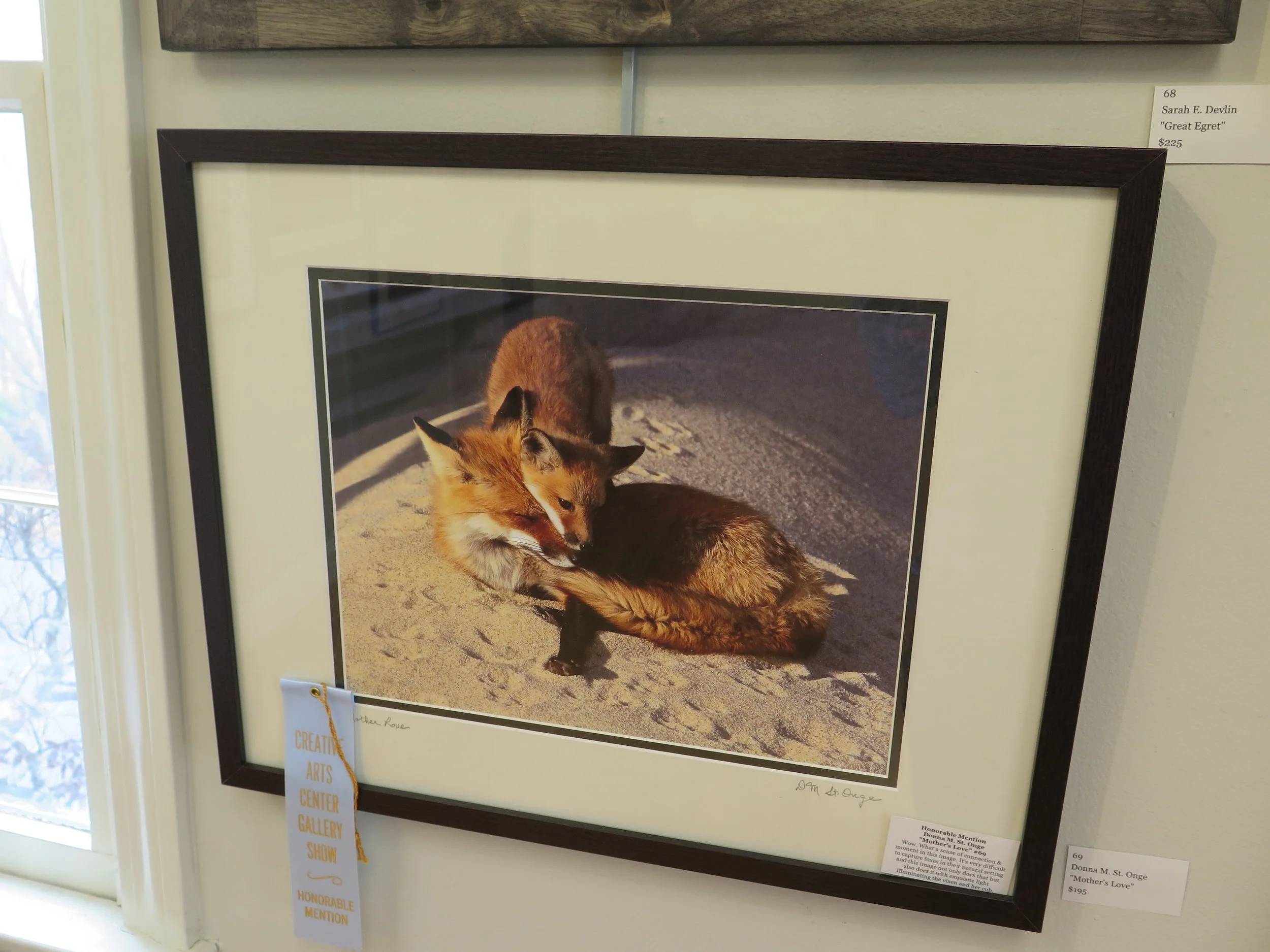 Honorable Mention Donna M. St. Onge "Mother’s Love"
