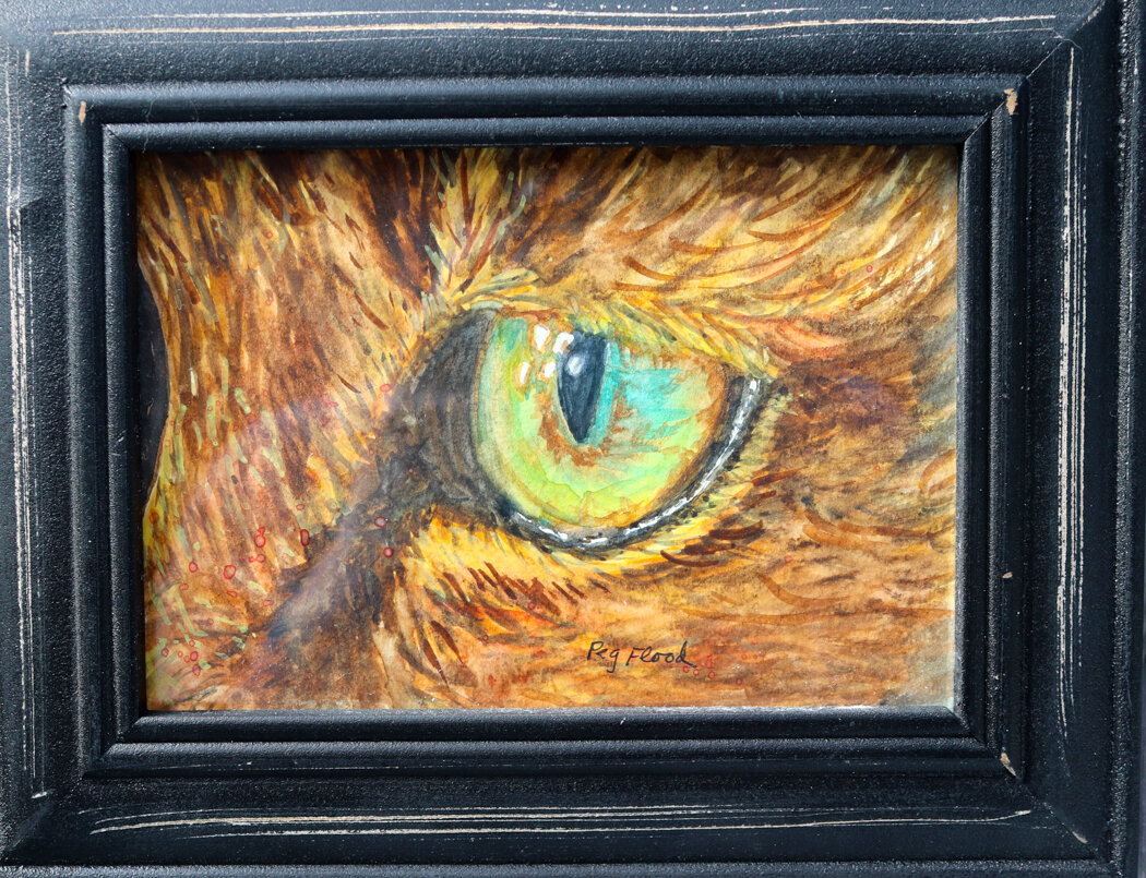 Peg Flood "Eye of the Tiger Cat" Watercolor $65