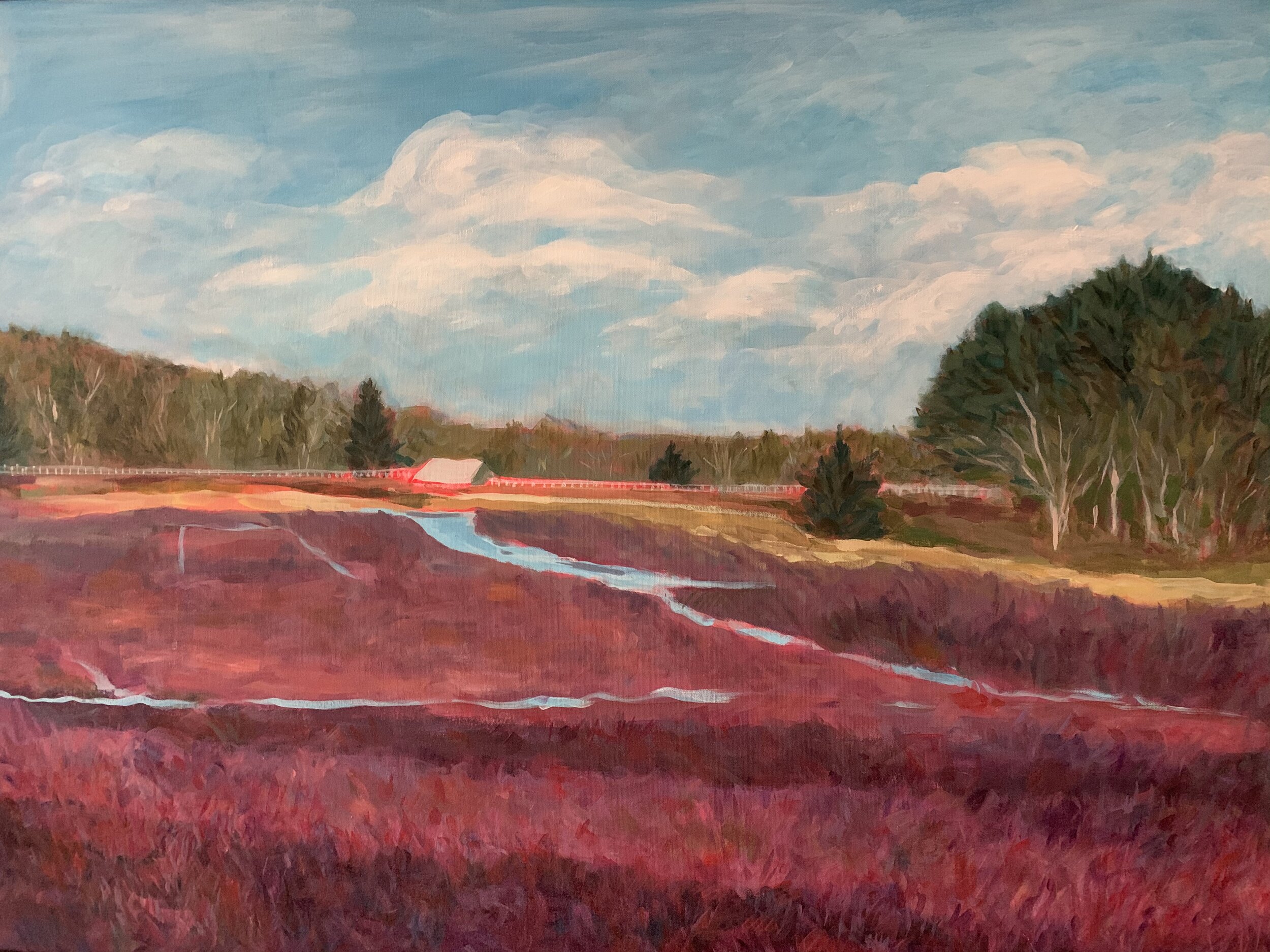 Susan Bridges "Harwich Cranberry Bog" Acrylic $600