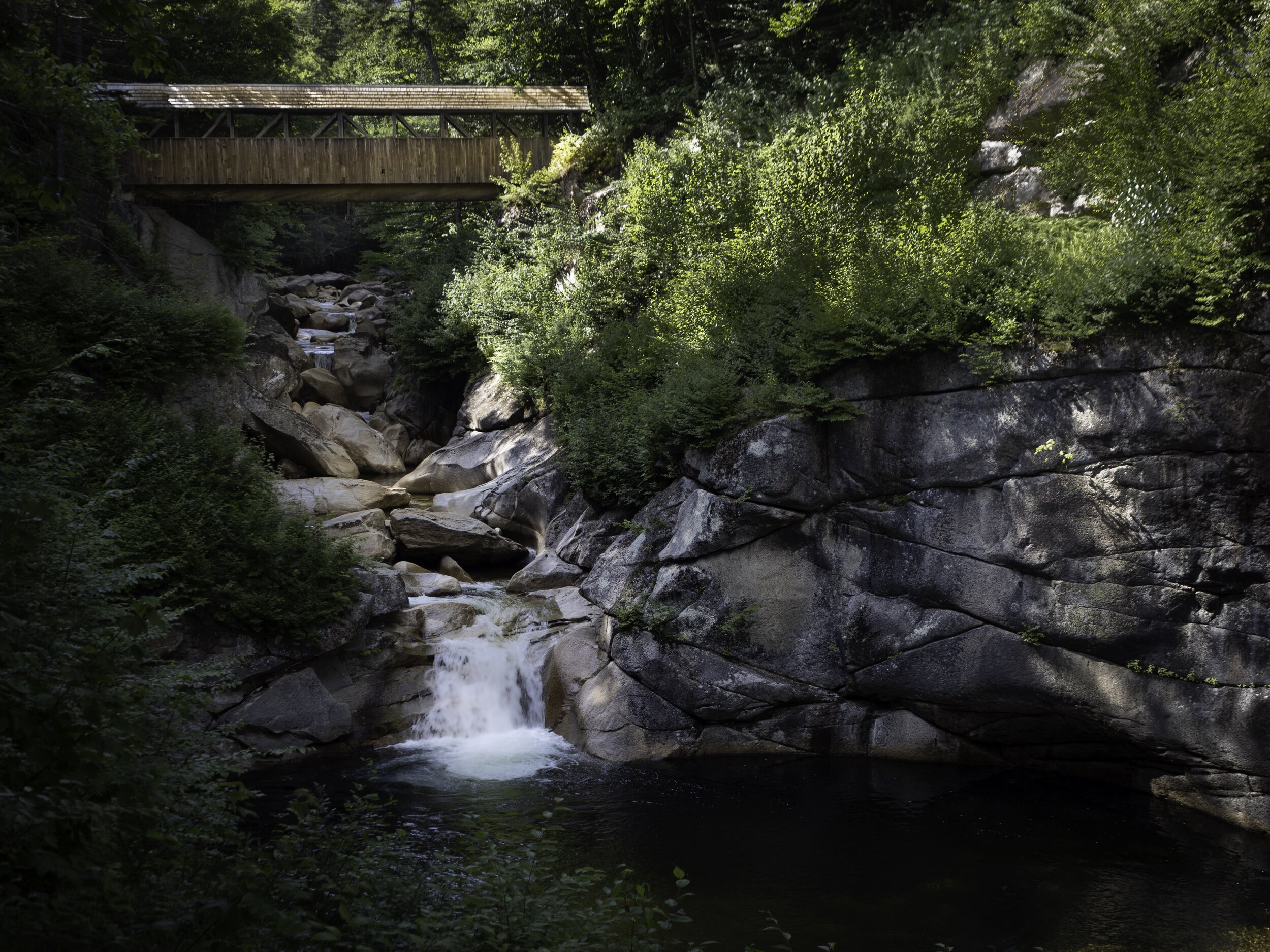 Rick Branscomb "Sentinel Pines Bridge" Photo $250